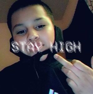 Meet your Posher, Cedro